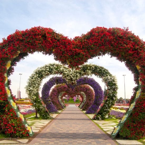 Your complete guide for Dubai Miracle Garden